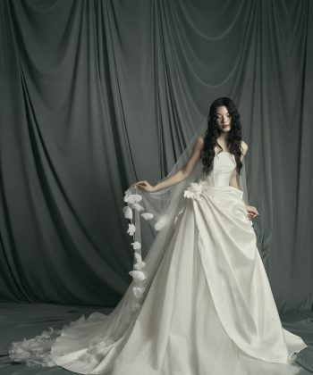 𝐀𝐋𝐈𝐂𝐈𝐀 𝐂𝐎𝐋𝐋𝐄𝐂𝐓𝐈𝐎𝐍: 𝐋𝐎𝐎𝐊 𝟕