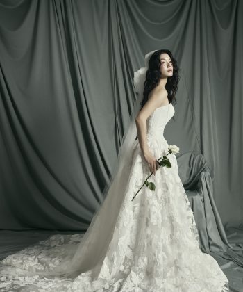 𝐀𝐋𝐈𝐂𝐈𝐀 𝐂𝐎𝐋𝐋𝐄𝐂𝐓𝐈𝐎𝐍: 𝐋𝐎𝐎𝐊 𝟏𝟕